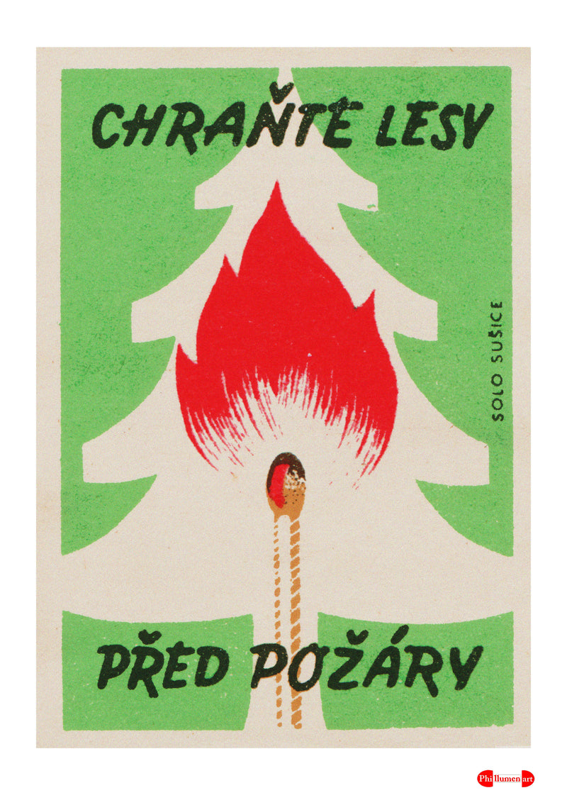 Protect The Forests From Fires